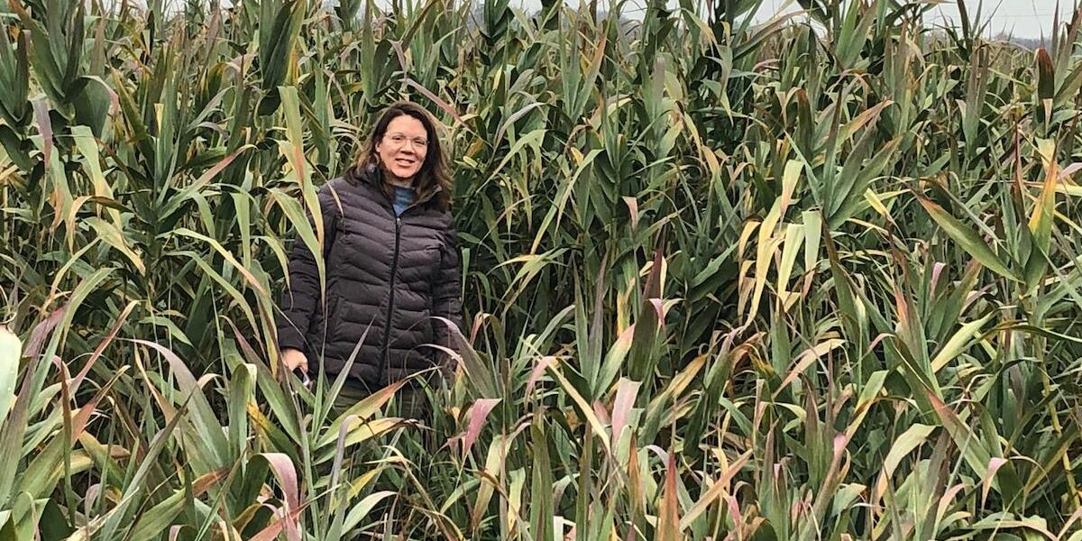 two men pose with concrete blocks