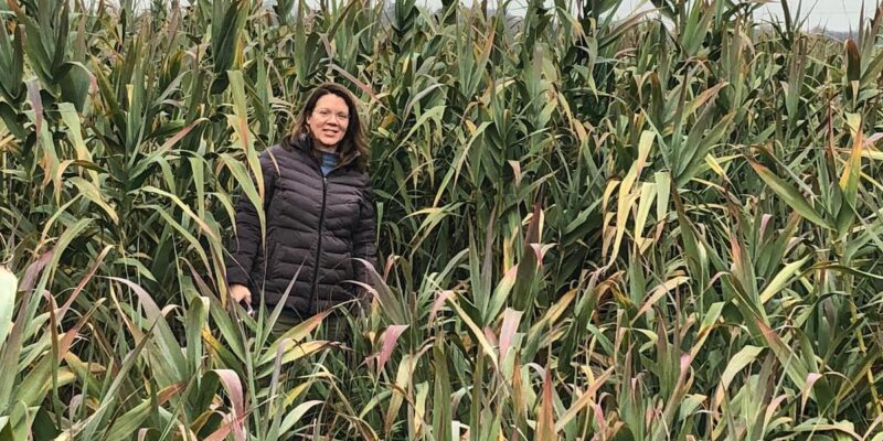 two men pose with concrete blocks