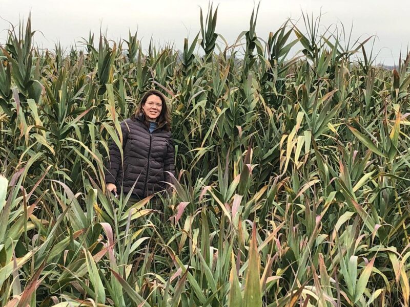 two men pose with concrete blocks